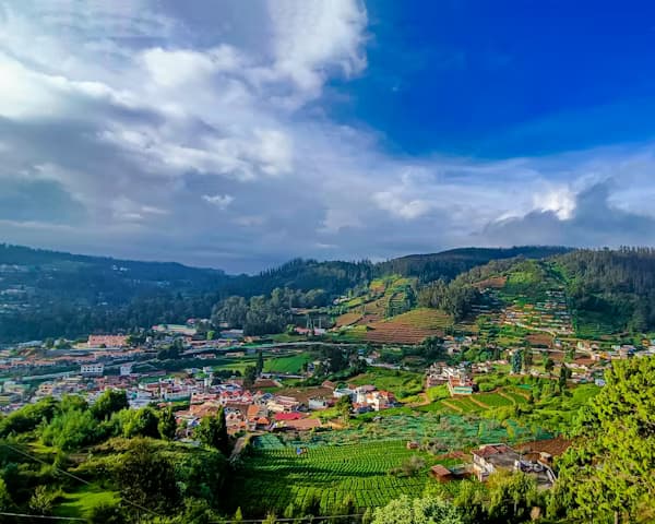 Expert Travel Agent in Ooty